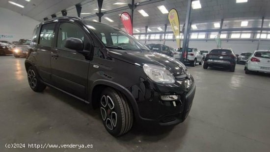 Fiat Panda 1.0 Gse 70cv Hybrid City Life - Albacete