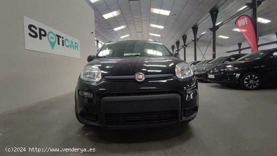 Fiat Panda 1.0 Gse 70cv Hybrid City Life - Albacete