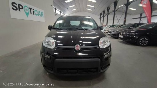 Fiat Panda 1.0 Gse 70cv Hybrid City Life - Albacete