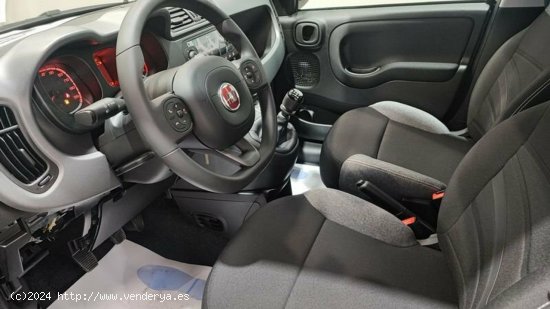 Fiat Panda 1.0 Gse 70cv Hybrid City Life - Albacete