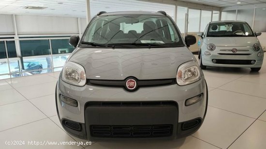 Fiat Panda 1.0 Gse 70cv Hybrid City Life - Albacete