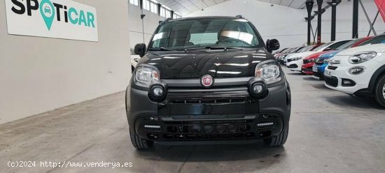 Fiat Panda 1.0 Hybrid 70cv City Cross - Albacete