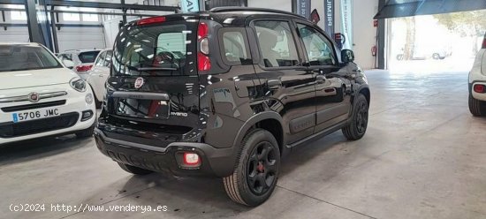 Fiat Panda 1.0 Hybrid 70cv City Cross - Albacete