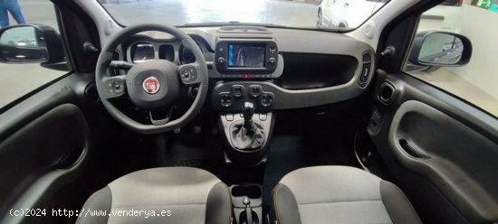 Fiat Panda 1.0 Hybrid 70cv City Cross - Albacete