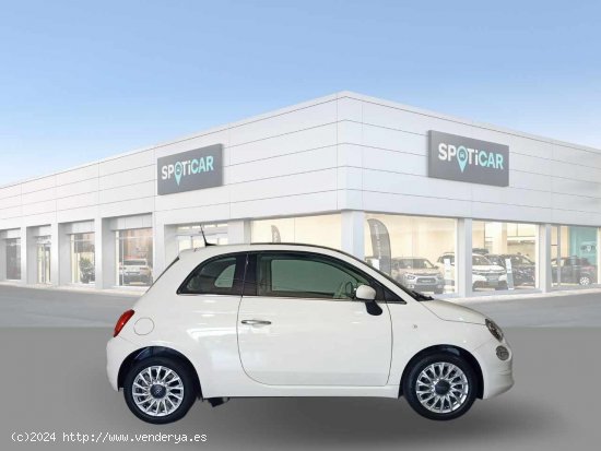 Fiat 500 Lounge 1.2 8v 51KW (69 CV) - Jaén