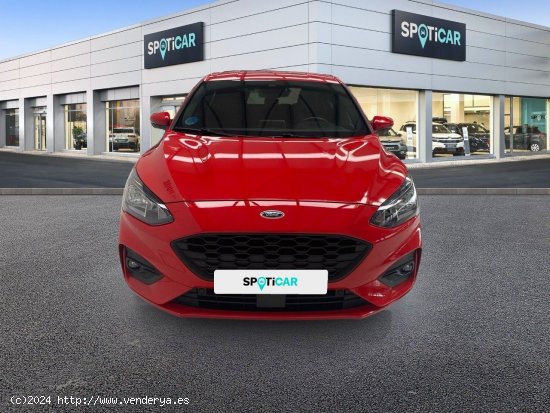 Ford Focus 1.0 Ecoboost MHEV 92kW ST-Line Hybrid - Sestao