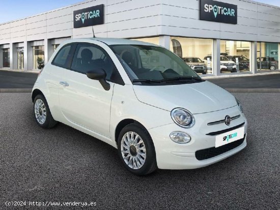 Fiat 500 1.0 MHEV DOLCEVITA 3P - Alicante