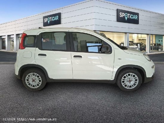 Fiat Panda 1.0 MHEV 5P - Alicante