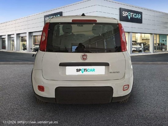 Fiat Panda 1.0 MHEV 5P - Alicante