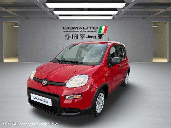 Fiat Panda   1.0 Hybrid 51kW (70cv) Pandina - Castelló