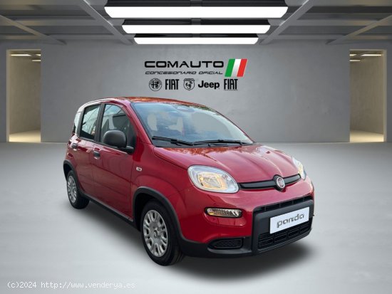 Fiat Panda   1.0 Hybrid 51kW (70cv) Pandina - Castelló