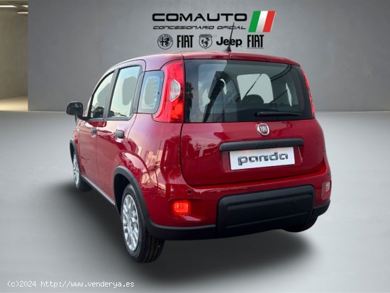 Fiat Panda   1.0 Hybrid 51kW (70cv) Pandina - Castelló