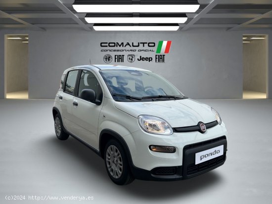 Fiat Panda   1.0 Hybrid 51kW (70cv) Pandina - Castelló