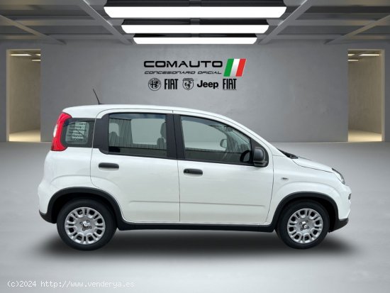 Fiat Panda   1.0 Hybrid 51kW (70cv) Pandina - Castelló