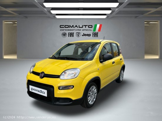 Fiat Panda   1.0 Hybrid 51kW (70cv) Pandina - Castelló