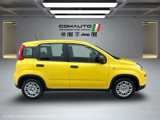 Fiat Panda   1.0 Hybrid 51kW (70cv) Pandina - Castelló