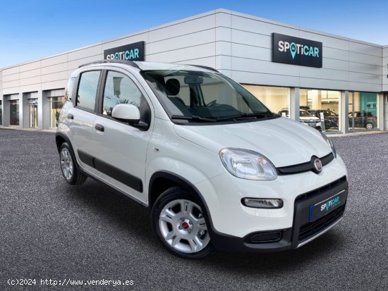 Fiat Panda   Hybrid 1.0 Gse 51kw (70CV) City Life - Castelló