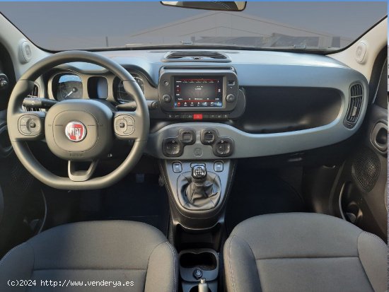 Fiat Panda  Panda Hybrid 1.0 51kw (70CV) - - Castelló