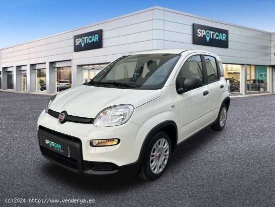  Fiat Panda  Panda Hybrid 1.0 51kw+Pack Comfort Plus - - Castelló 