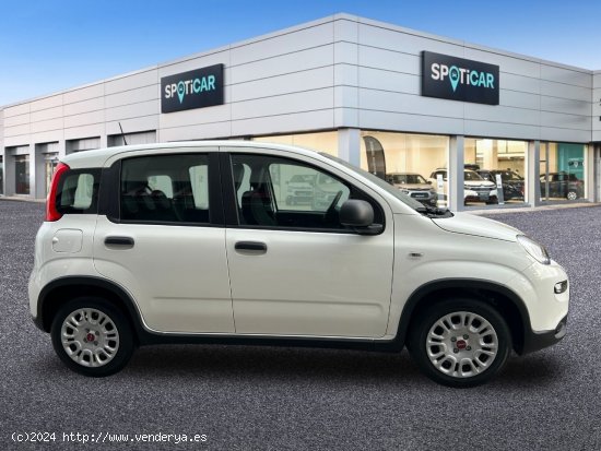 Fiat Panda  Panda Hybrid 1.0 51kw+Pack Comfort Plus - - Castelló