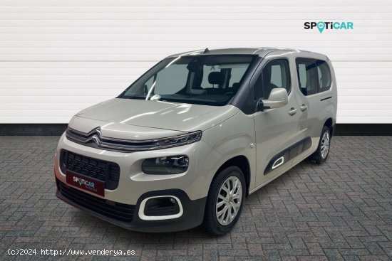 Citroën Berlingo  Talla XL BlueHDi 130 S&S 6v Feel - León