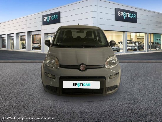 Fiat Panda   Hybrid 1.0 Gse 51kw (70CV) City Life - Sabadell