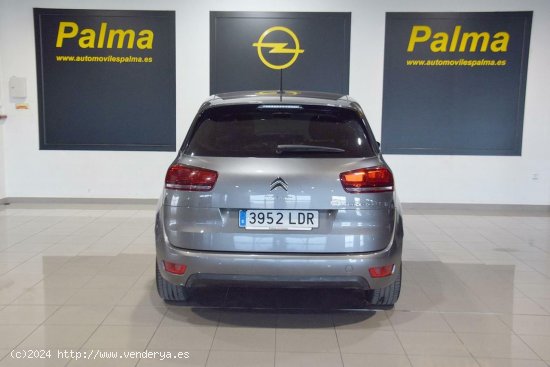 Citroën C4 SPACETOURER FEEL 1.5D 130cv AT8 - Paterna