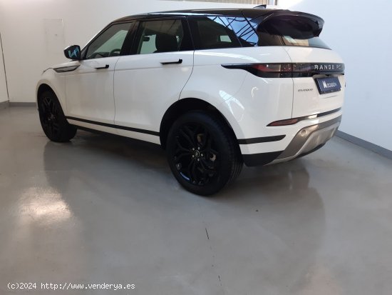 Land-Rover Range Rover D160 MHEV AWD S AUTO - 