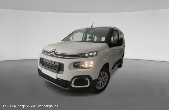  Citroën Berlingo  Talla M BlueHDi 100 S&S Feel M1 -  