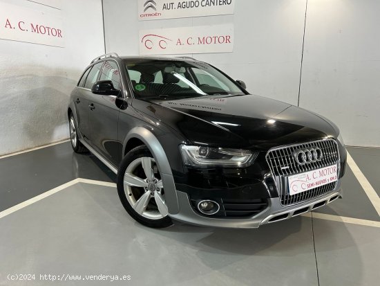 Audi A4 Allroad Quattro A4 Allroad Q. 2.0TDI CD Advanced Ed. 190 CV - Pozoblanco