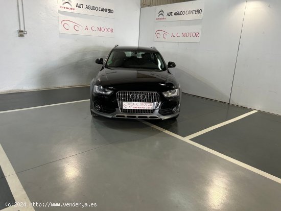 Audi A4 Allroad Quattro A4 Allroad Q. 2.0TDI CD Advanced Ed. 190 CV - Pozoblanco