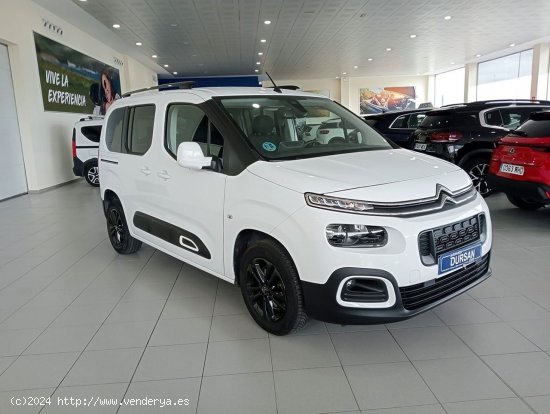 Citroën Berlingo   Talla M BlueHDi 130 SS 6v SHINE - 