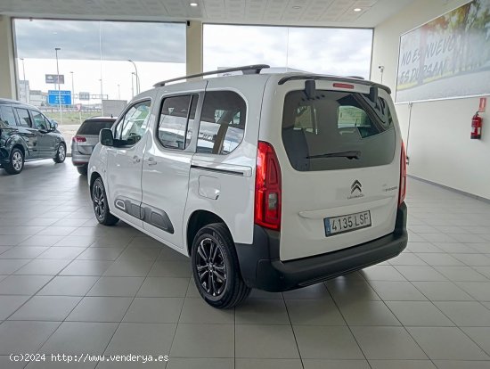 Citroën Berlingo   Talla M BlueHDi 130 SS 6v SHINE - 