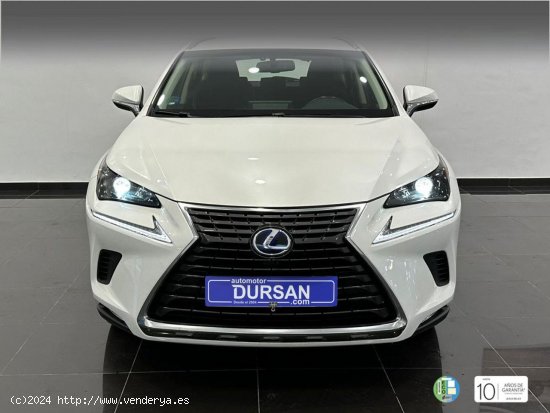 Lexus NX   2.5 300h Business Navigation 2WD - 