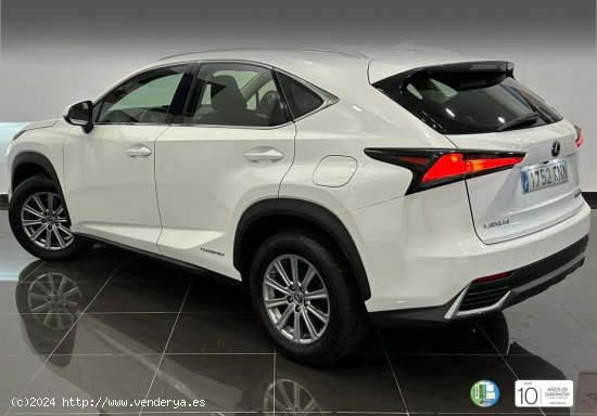 Lexus NX   2.5 300h Business Navigation 2WD - 