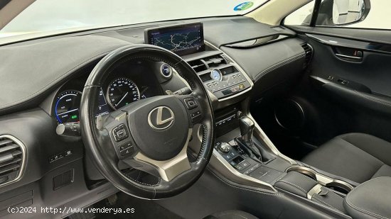 Lexus NX   2.5 300h Business Navigation 2WD - 