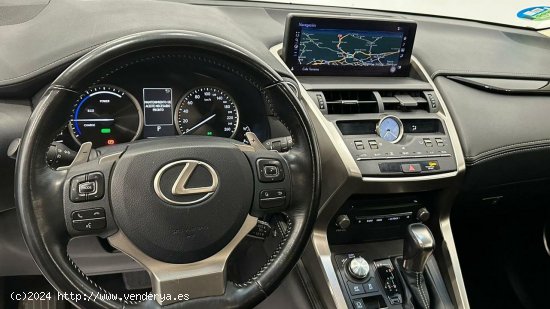 Lexus NX   2.5 300h Business Navigation 2WD - 