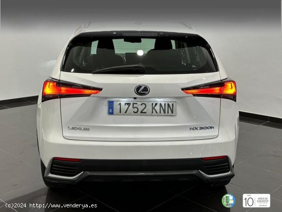 Lexus NX   2.5 300h Business Navigation 2WD - 