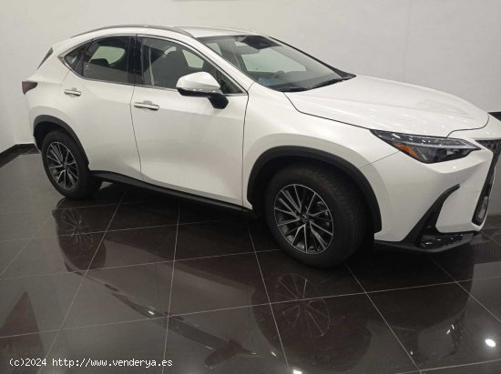 Lexus NX   350h Business City 4WD - 