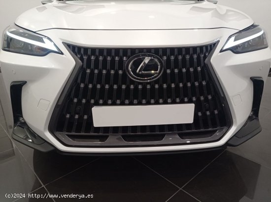 Lexus NX   350h Business City 4WD - 