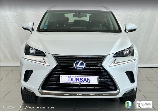 Lexus NX 300h Business Navigation 2WD - 