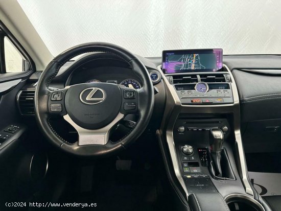 Lexus NX 300h Business Navigation 2WD - 