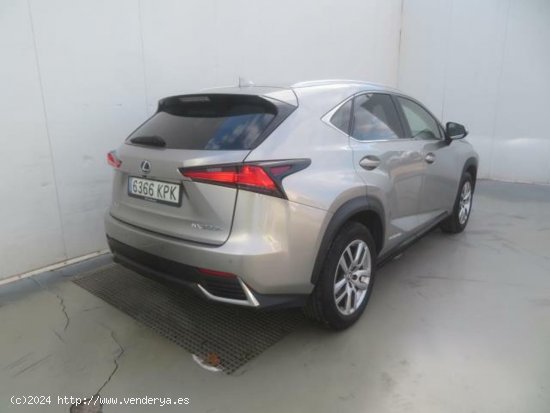 Lexus NX 300h Executive Navigation 4WD - 