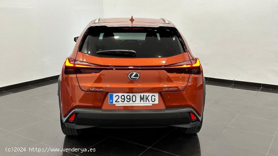 Lexus UX PREMIUM - 