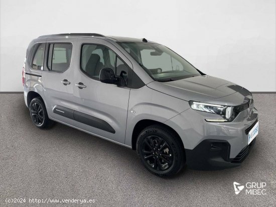 Citroën Berlingo  Talla M BlueHDi 100 S&S Plus - Lleida