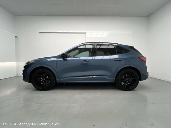 Ford Kuga 2.5 FHEV ST-LINE X AUTO 190CV 5P - Malaga