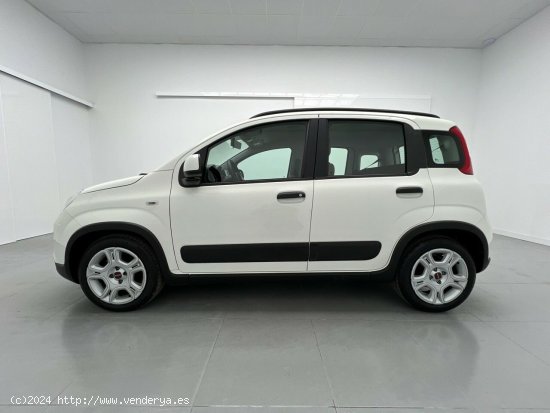 Fiat Panda 1.0 MHEV CITY LIFE 70CV 5P - Malaga