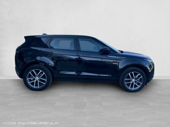 Land-Rover Range Rover Evoque 1.5 P300E S AUTO 4WD 309CV 5P - Malaga