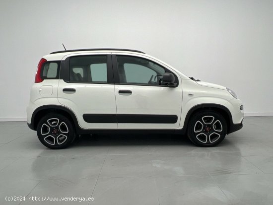 Fiat Panda 1.0 MHEV CITY LIFE 70CV 5P - Malaga