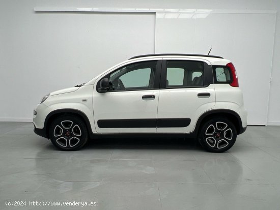 Fiat Panda 1.0 MHEV CITY LIFE 70CV 5P - Malaga